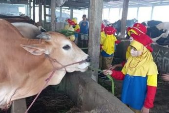 Outdoor Learning, Pengalaman Seru Siswa di Pabrik Ini